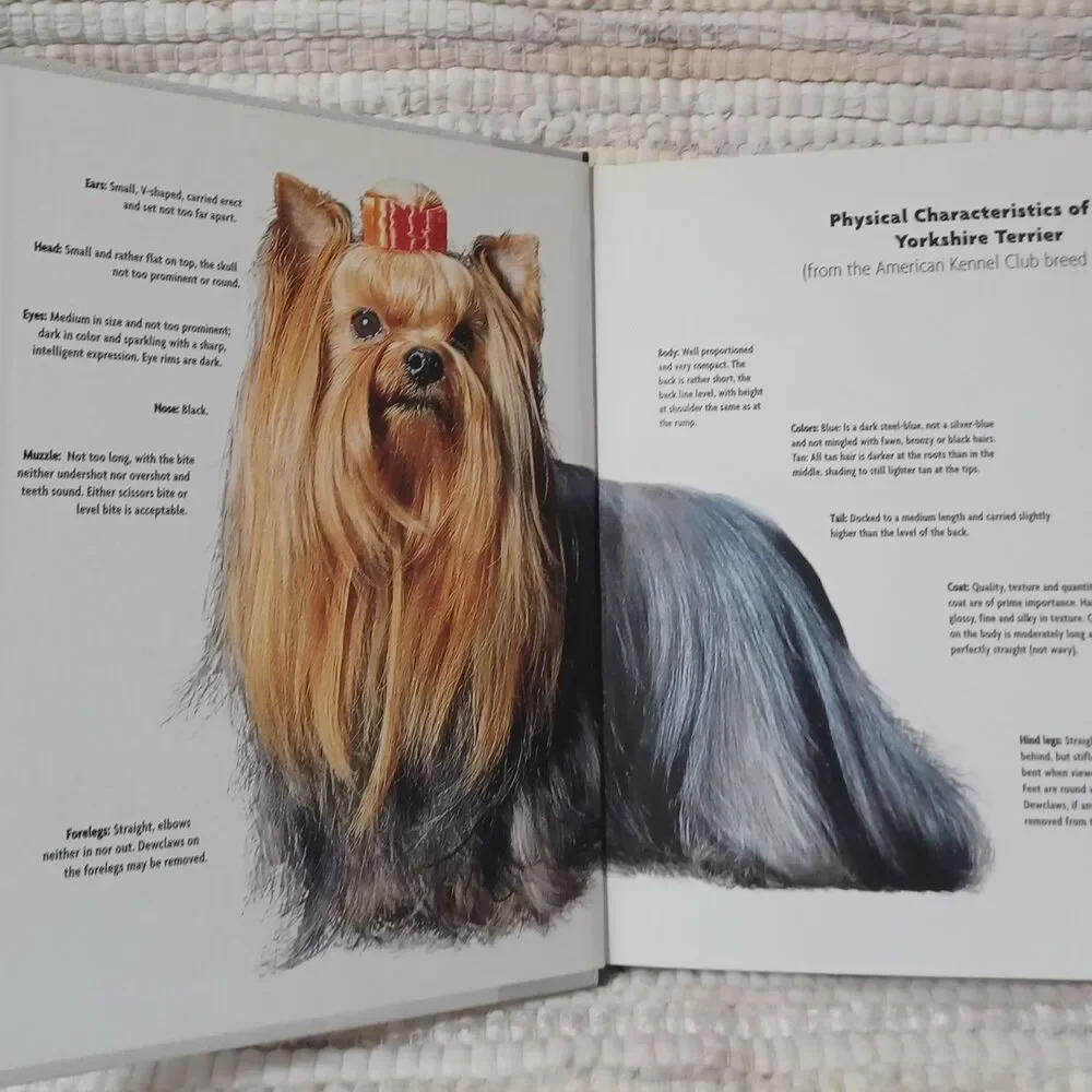 Yorkshire Terrier, A Comprehensive Guide to Owning Caring for Your Dog